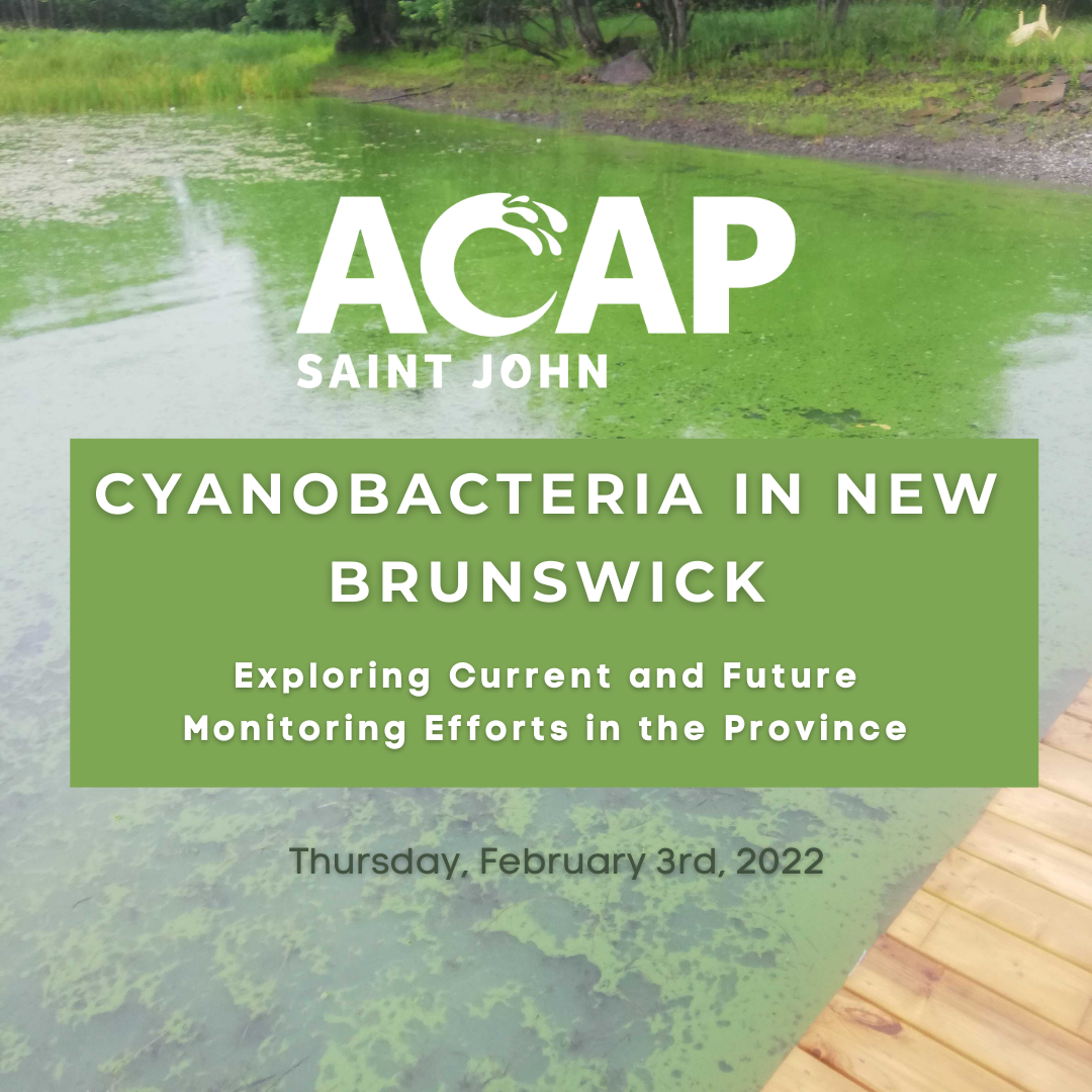 Cyanobacteria in New Brunswick: Exploring Current and Future Efforts in the Province